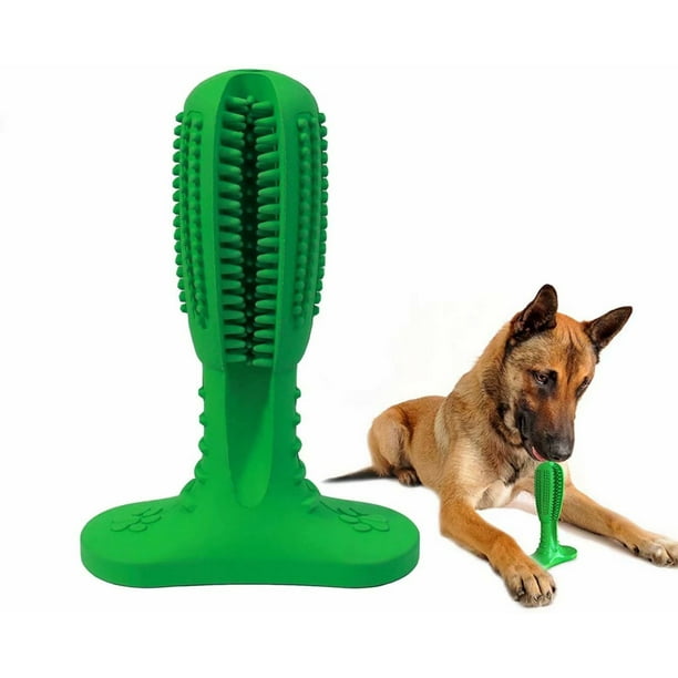 Toothbrush toy dog cheap