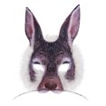 thumbnail image 1 of 1 UNID Decorativo Conejo Patrón Máscara Pascua Party Mask Mascarada Party Mask Prop, 1 of 6