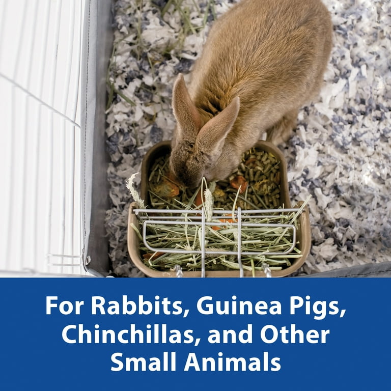 Kaytee Hay Food Bin Feeder With Quick Locks For Pet Rabbits