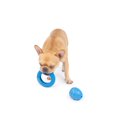 thumbnail image 2 of One Paw, 2 pack Rubber Chew Dog Toy, Medium, Treat Dispenser, 2 of 4