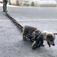 thumbnail image 3 of 2025 Simulation Iron Chain Large Size Dog Traction Thick Funny Prank Walking Towing Rope Dogs Accessories, 3 of 5