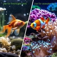 thumbnail image 5 of Aquarium Rocks for Fish Breeding, Playing and Resting, Small Ceramic Decorative Stones for Aquarium, 5 of 5