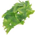 thumbnail image 4 of Artificial Hanging Leaf Ornament for Reptile Terrarium Decor Lifelike Plant仿真爬宠箱装饰塑料叶片多种颜色可选易于清洁安全材质, 4 of 7