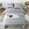 thumbnail image 4 of Andency Quilt Queen Size Grey - 3 Pieces Lightweight Boho Printed Bedspread for Queen Bed - Soft Quilt Bedding Set - Reversible All Seasons Microfiber Coverlet Sets with 2 Pillow Shams, 4 of 8