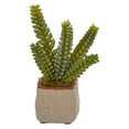 thumbnail image 3 of Nearly Natural Mixed Succulent Artificial Plant (Set of 4), 3 of 12