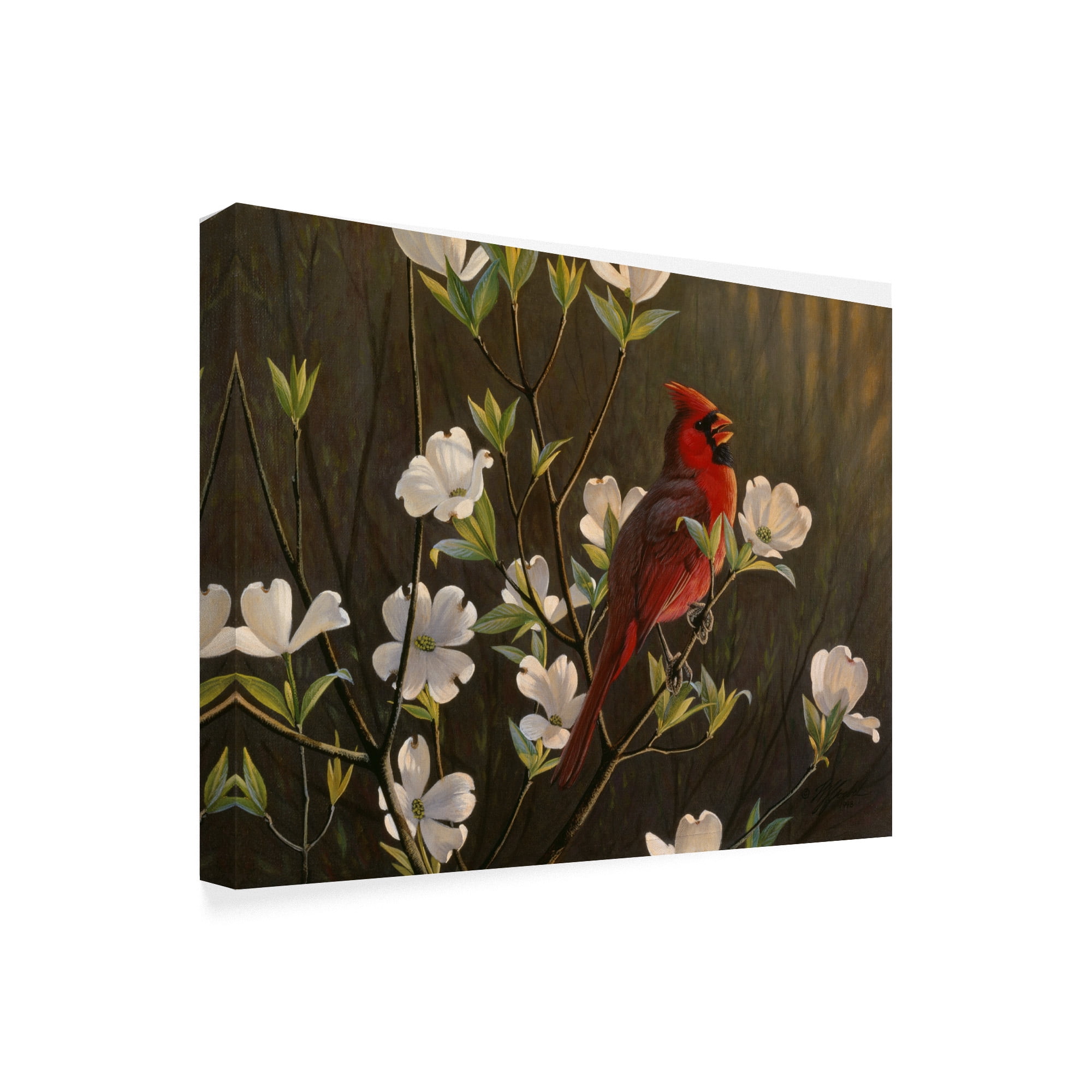 Trademark Fine Art 'Spring Cheer' Canvas Art by Wilhelm Goebel