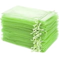thumbnail image 6 of 100PCS Fruit Protection Bags 8x12 Inch Fruit Bags Green Reusable Mesh Bag with Drawstring for Vegetables Fruits Grapes Mango Tomato Strawberry, 6 of 6