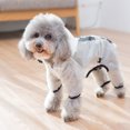 thumbnail image 4 of Dog Hooded Poncho, Dog Raincoat with Hood, Raincoat, 4 of 5