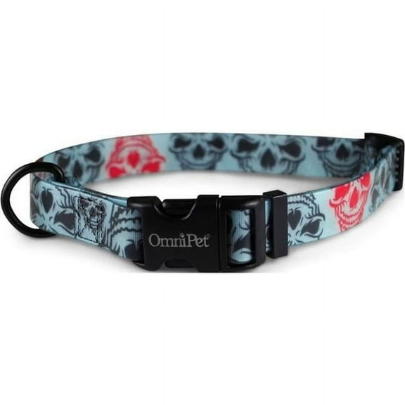 Leather Brothers 19204-04 1 x 18 x 26 in. Attitudz Skull Biothane Dog Collar