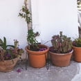 thumbnail image 1 of TABLZONE 1Ud Estante Simple De Hierro Negro Para Plantas Con Montaje Y, 1 of 8