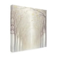 thumbnail image 2 of Julia Purinton 'Misty' Canvas Art, 2 of 3