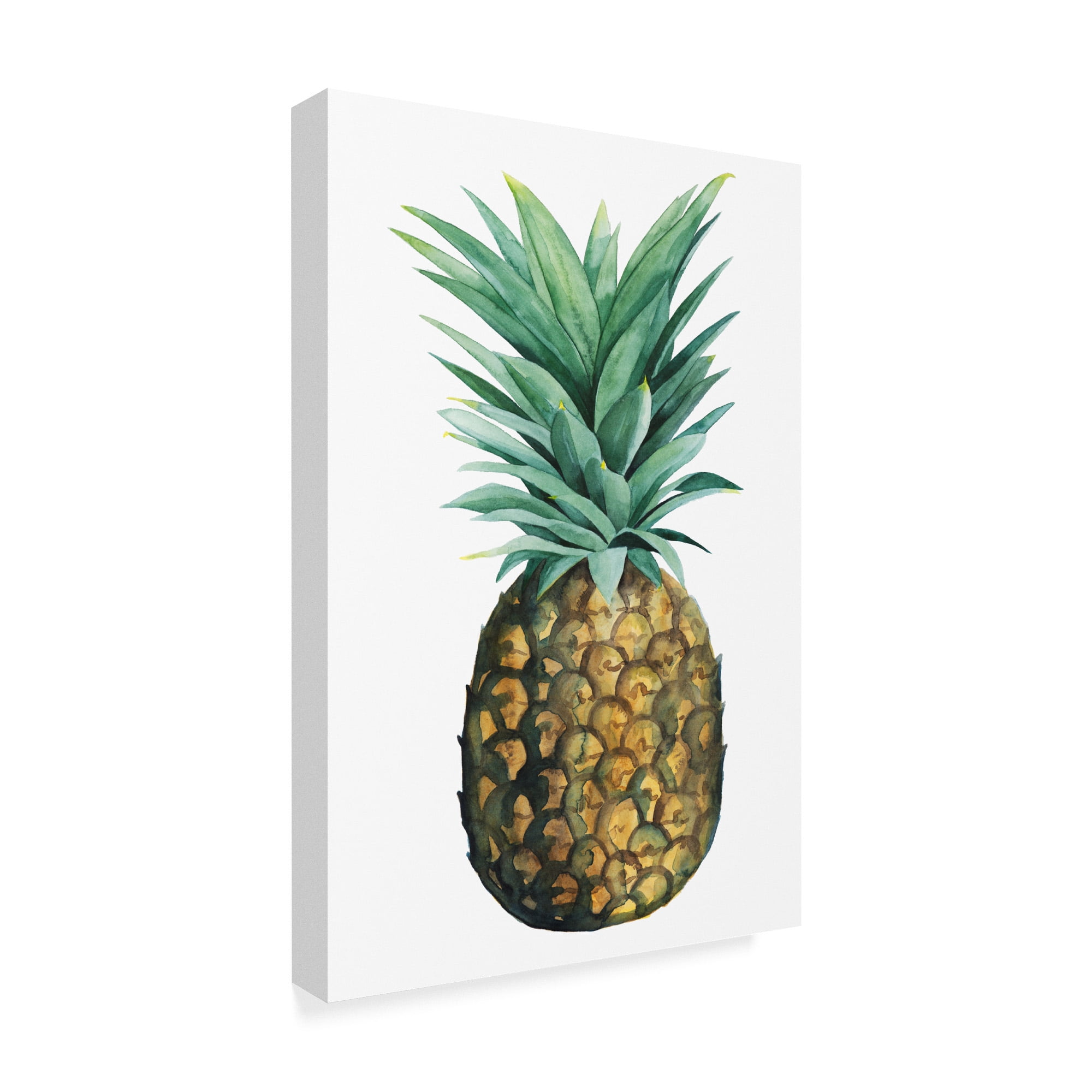 Trademark Fine Art 'Watercolor Pineapple II' Canvas Art by Grace Popp
