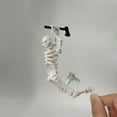 thumbnail image 5 of Magnetic Skull Joint Multi-Joint Action Figure - Fully Articulated Skeleton with Weapon Set for Desk Decoration, Sketching Practice, Halloween Gift, 5 of 6