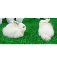 thumbnail image 2 of DYNWAVECA Rabbit Statue House Miniature Ornament Electrical Installation Construction Supplies, 2 of 10