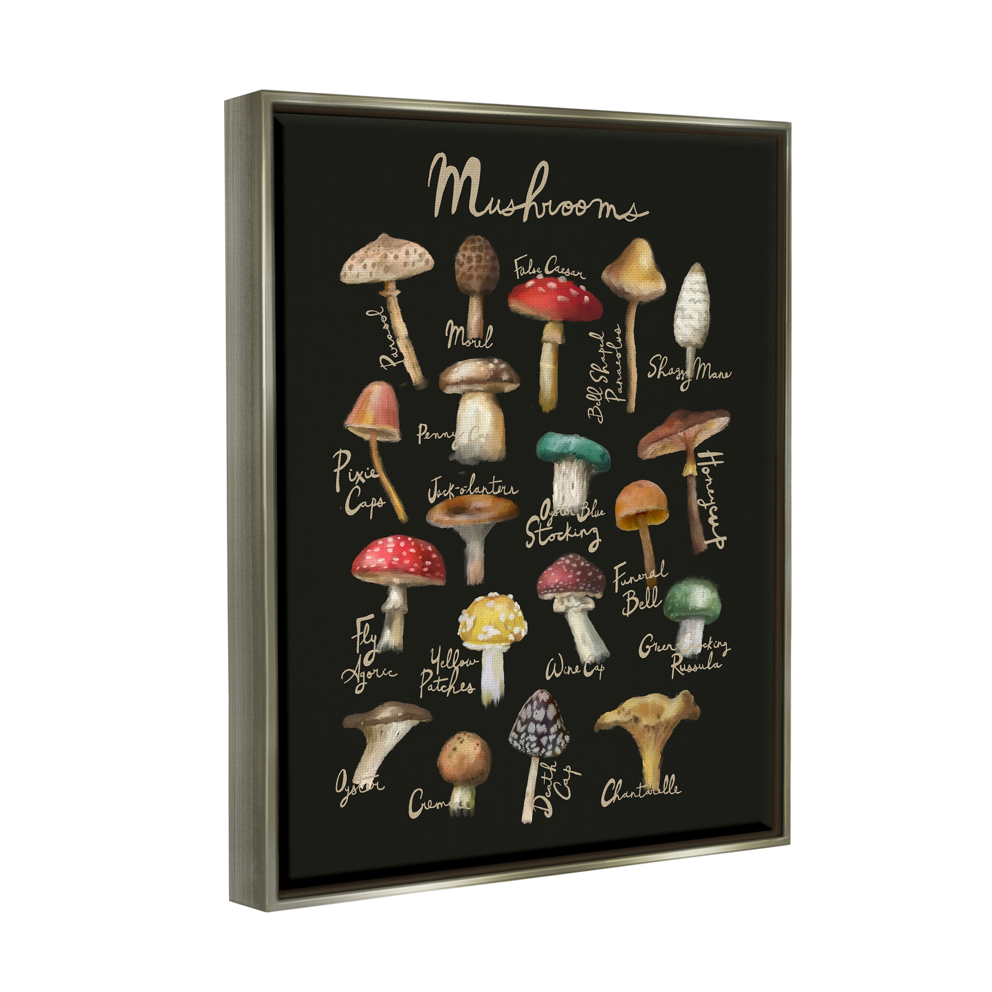 Stupell Industries Varied Mushrooms Kitchen Chart Landscape Painting Gray Floater Framed Art Print Wall Art