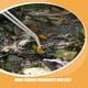 thumbnail image 3 of BESTYASH 2Ud Pinzas Largas Para Acuario Y Terrario Con Punta Curva Y Recta De Metal Plata, 3 of 8
