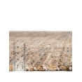 thumbnail image 4 of Unique Loom Chenille Jute Collection Area Rug - Raj (2' 2" x 8' Runner Natural/Light Brown), 4 of 6