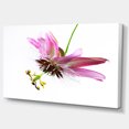 thumbnail image 2 of Passiflora Fleur sur Fond Blanc - Grande Impression sur Toile d'Art Animalier, 2 of 4
