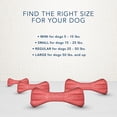 thumbnail image 2 of BLUE Bones Mini Size Dog Dental Chews, 2 of 8