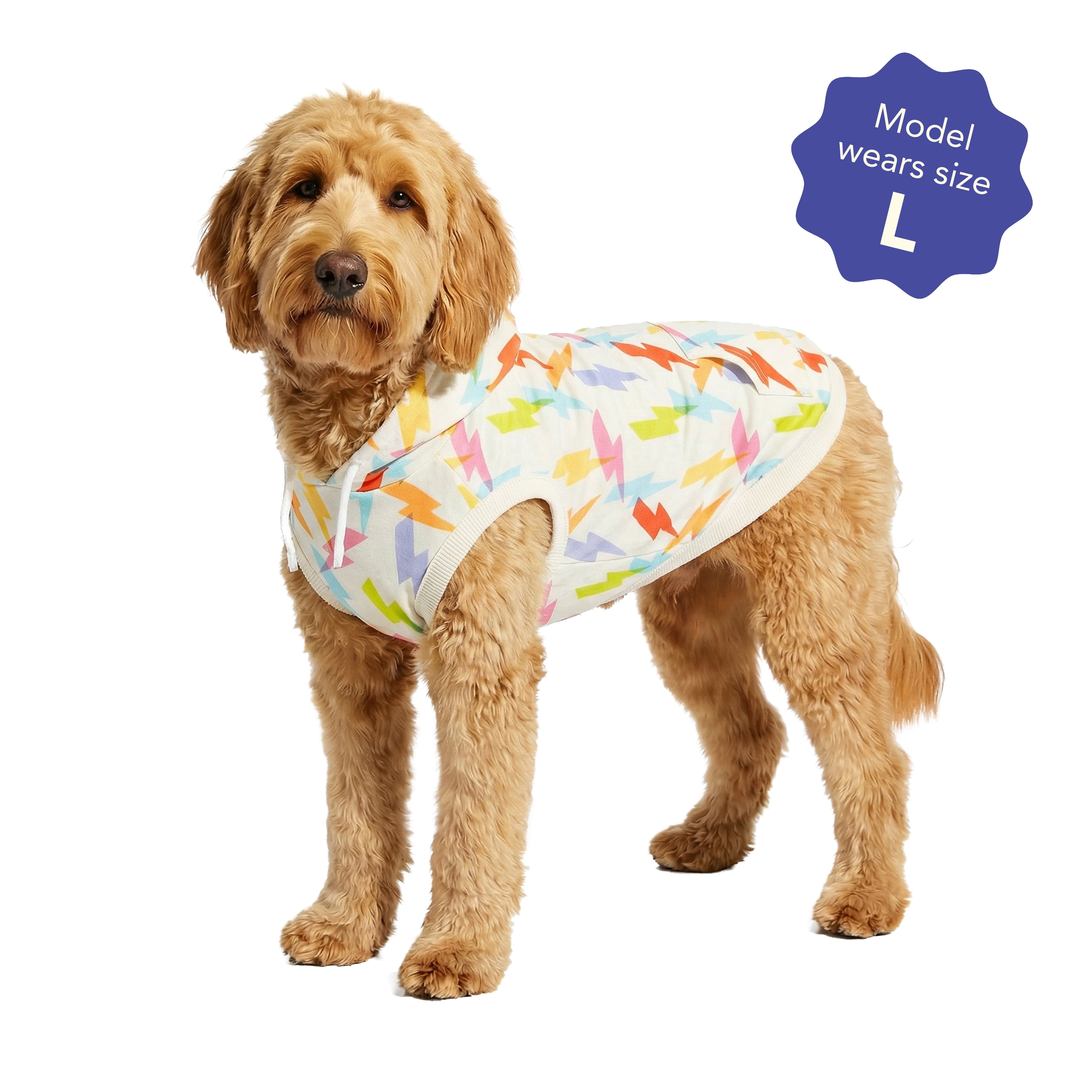 Oodles Multi-Colored Liminal Lightning Bolt Spring Dog Hoodie, Large