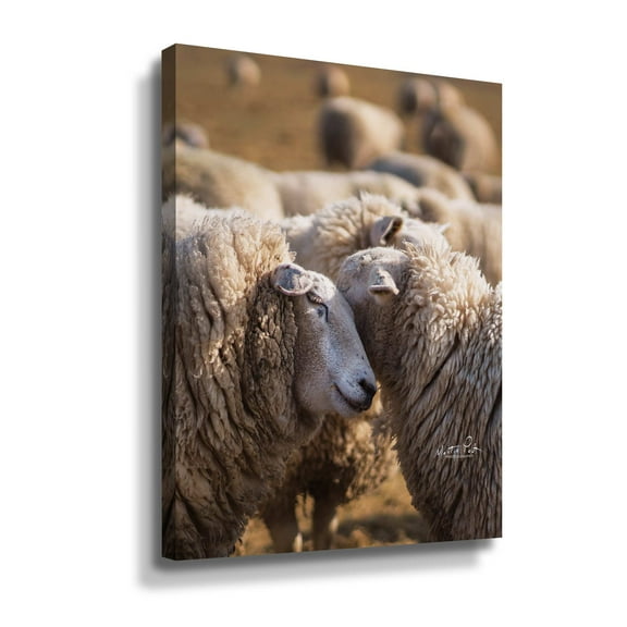 Artwall Love will Conquer All, Gallery Wrapped Canvas by Martin Podt