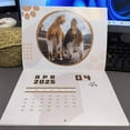 Calendars 2025 Calendar Desk Calendar Dogs Who Are Pooping Calendar for