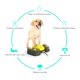 thumbnail image 5 of Fuente de agua multifuncional para perros, fuente de agua automática para mascotas, fuente Abanopi Fuente de agua, 5 of 7