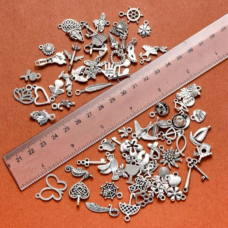 100 Pcs Mixed No Repeated Silver Smooth Metal Charms Pendants DIY for Necklace Bracelet Dangle Jewelry Making and Crafting, Animal Charms, Adult