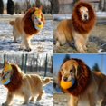 thumbnail image 4 of Ohh! WEIWEIGG Coffee Dog Costume, Realistic Lion Mane Cosplay Wig, Large Size Adjustable, Funny with Tail, 1 PCS, 4 of 4