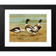 thumbnail image 2 of Louis Agassiz Fuertes 18x14 Black Modern Framed Museum Art Print Titled - Radjah Sheldrake, Common Sheldrake (1922-1926), 2 of 5