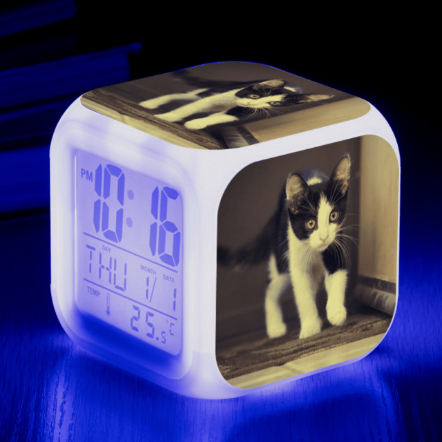 HANNTAOO Reloj despertador LED con diseño de gato, creativo, para escritorio, mesa, reloj digital electrónico brillante y colorido para adultos, niñas, niños y niños, juguete para regalo de