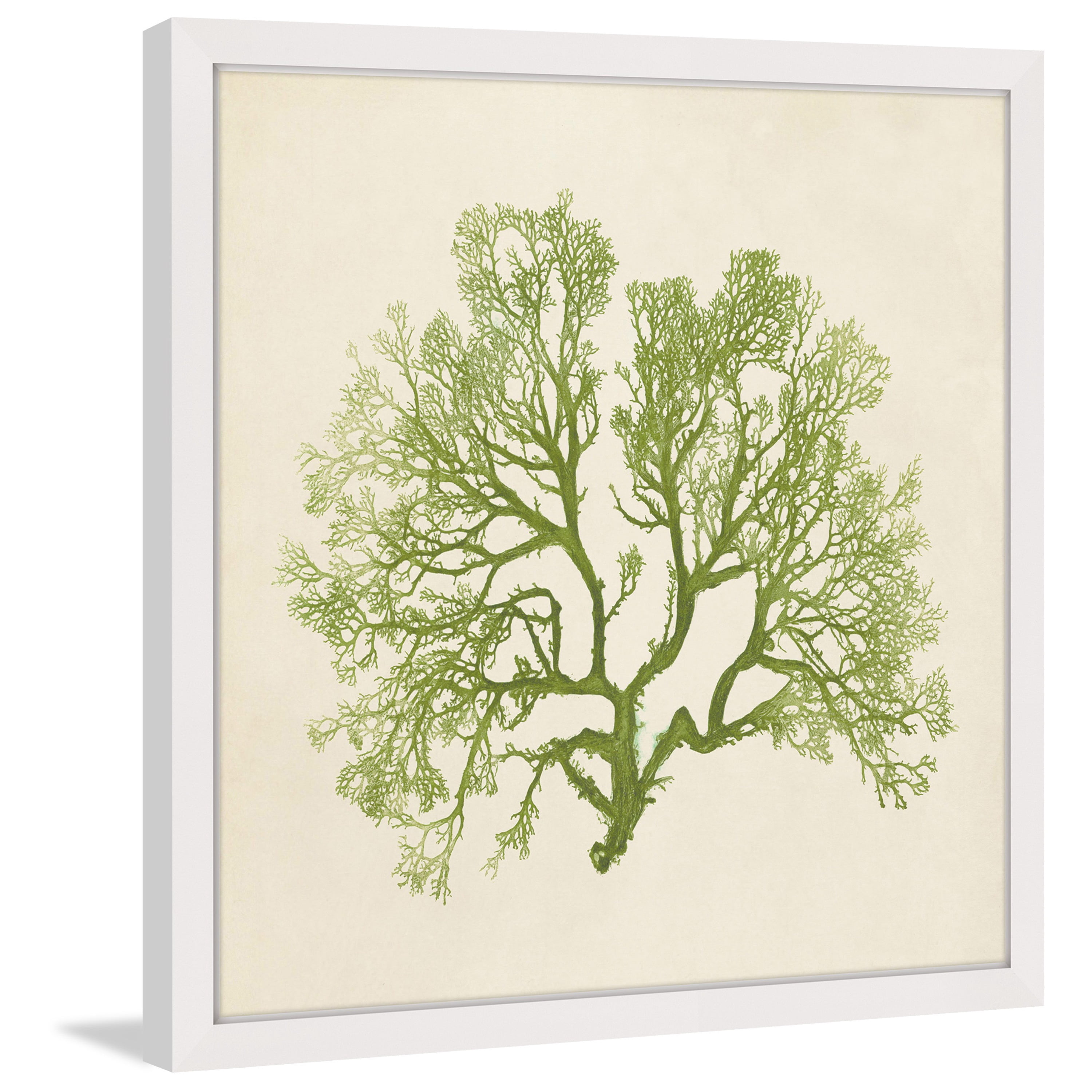 Marmont Hill "Chromatic Seaweed VI" Framed Painting Print