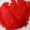 17" Centerpiece Home Decor (Red), variant on ZUCKER 25pc Large Ostrich Feather Wedding Decorations - 17" Centerpiece Home Decor (Silver - Gray)