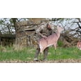 thumbnail image 3 of Montana Decoy Dreamy Doe, 3 of 3