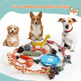 thumbnail image 3 of Set Juguetes De Cuerda Bloosom  Para Perro Morder Paquete De 10pz Multicolor, 3 of 4