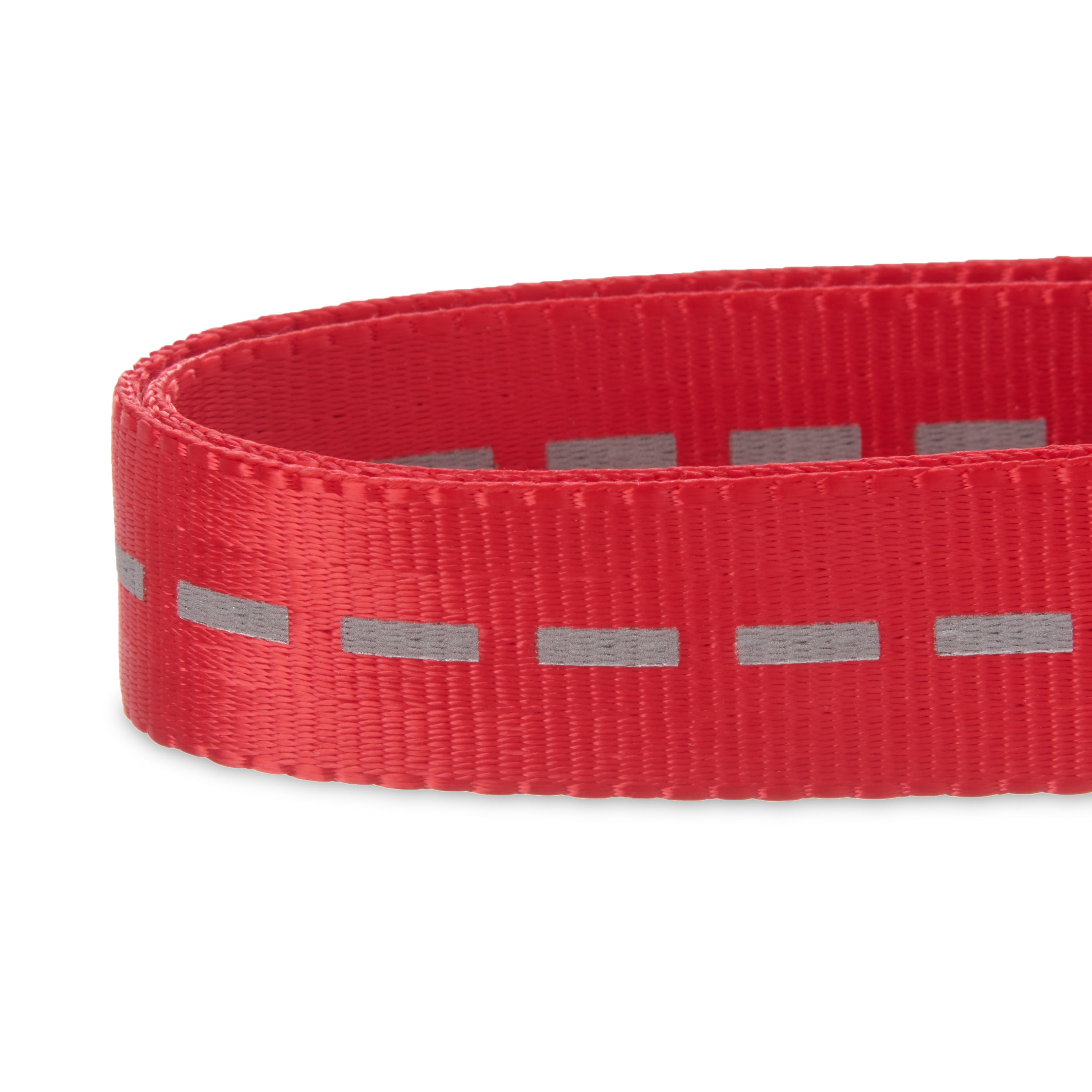 Vibrant Life Reflective Polyester Adjustable Dog Collar, Red, Medium
