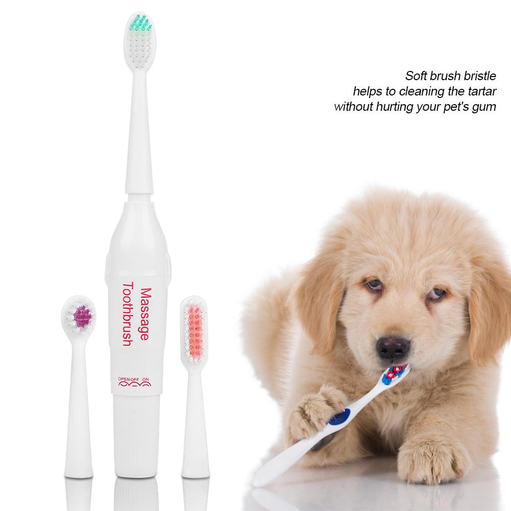 electric toothbrush for dogs