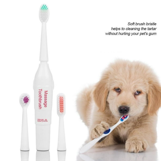 Dog smart toothbrush sales