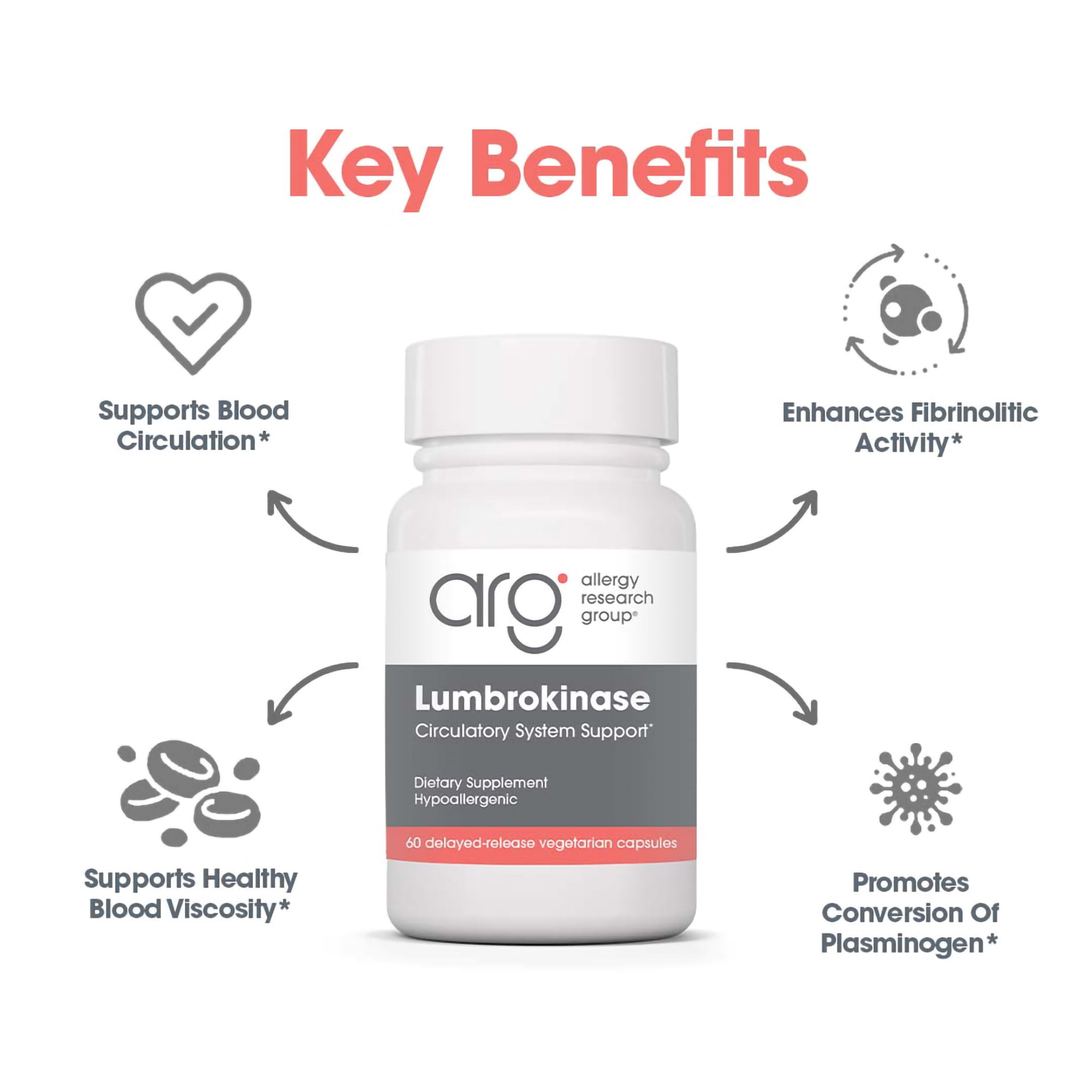 ARG Lumbrokinase Circulatory System Support - Delayed-Release Enzyme Supplement - Circulatory & Cardiovascular Health - Supports Healthy Blood Flow - Non-GMO & Gluten-Free - 30 Servings - 60 Capsules