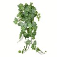 thumbnail image 1 of Vickerman Buisson Suspendu Raisin Vert et Blanc 39 Pouces - FZ192439, 1 of 2