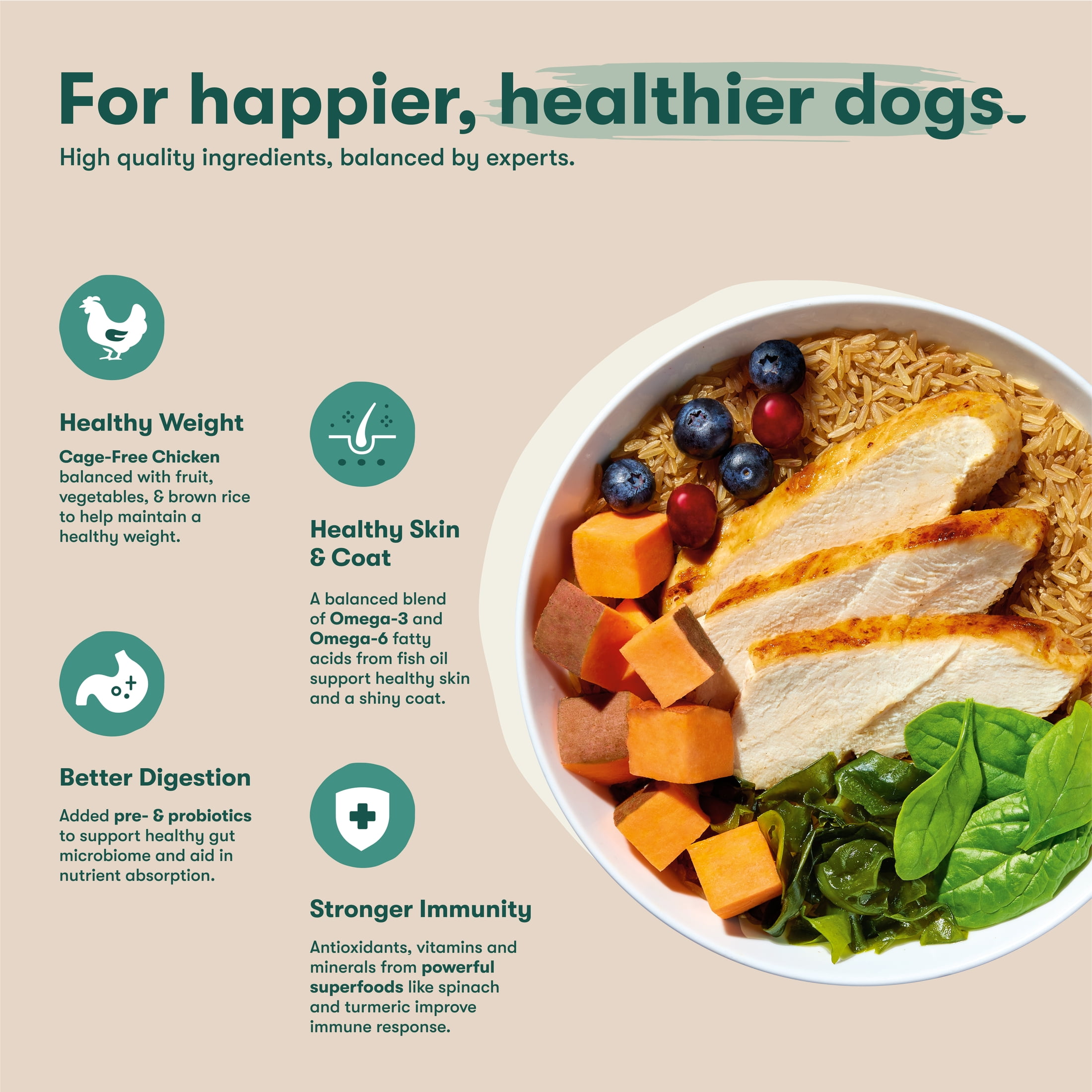 (2 pack) Jinx Puppy Cage-Free Chicken, Brown Rice, & Sweet Potato Dry Dog Food, 4lb. Bag