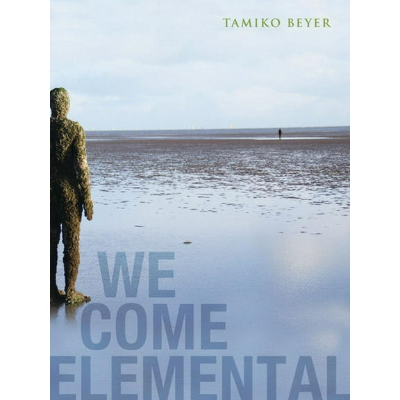 We Come Elemental (Paperback)
