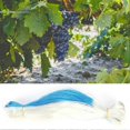 thumbnail image 2 of Filet de support pour plantes grimpantes de jardin, pour petits pois, concombres (2 x 100 m), 2 of 4