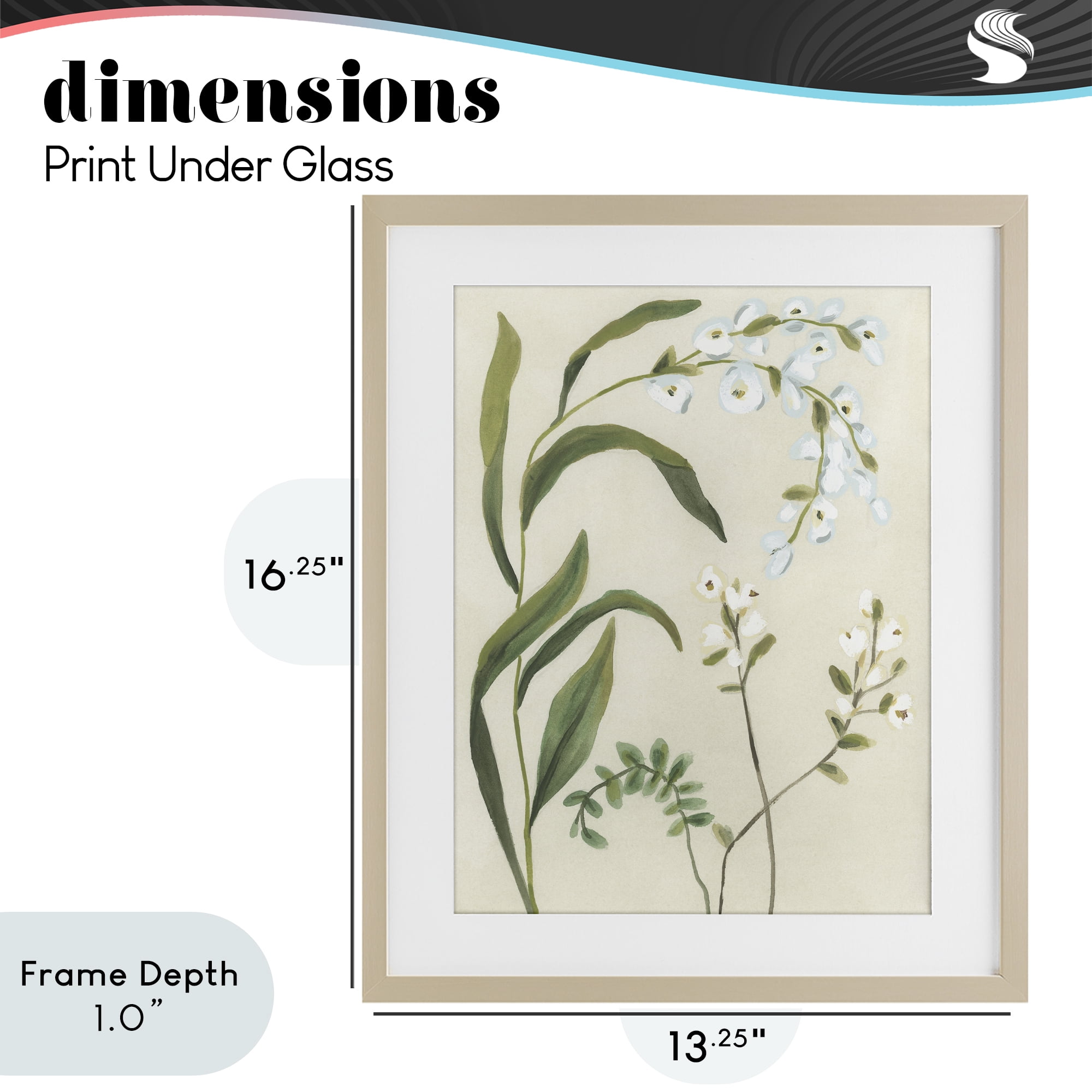 Stupell Industries Soft Snowdrop Stems Birch Framed Print Under Glass, design by June Erica Vess