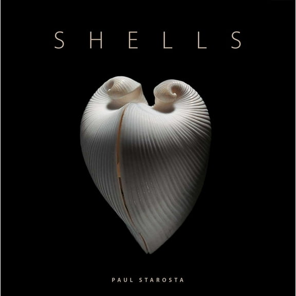 Shells, (Hardcover)