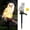 White, variant on EclatrisLume Solar Garden Light Outdoor, Owl Solar Garden Stake Light, Waterproof Warm White LED Light for Garden, Patio, Yard, Lawn, Walkway Decoration (Brown) 2Pack