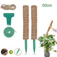 thumbnail image 2 of Extendable Poles Coir Poles for Garden Courtyard Monstera Climbing Plants 50cm Set, 2 of 7