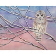 thumbnail image 2 of Wickstrom, Martin 24x20 Gold Ornate Wood Framed with Double Matting Museum Art Print Titled - Snowy Barred Owl, 2 of 4