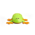 thumbnail image 1 of Big Joe Pool Petz Grenouille, 1 of 1