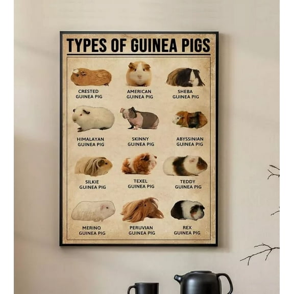 Kna Prints - Types Of Guinea Pigs Poster, Guinea Pigs Poster, Vintage Poster, Wall Art Home Decor, Vintage Art Print, Haging Poster, Cute Birthday Gift, Wall Art - Kir 4344, UNFRAMED-8x12